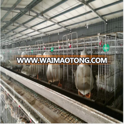 Fuhua poultry equipment layer cage for meat duck