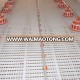 Automatic complete poultry farm equipment with chicken plastic slat