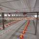 High quality automatic chicken feeding machine for poultry equipment good price