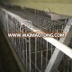 BOYA brand laying chicken cages in kenya