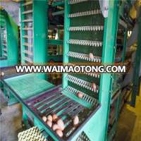 Factory Diretctly Sale Chicken Battery Cage System in Poultry