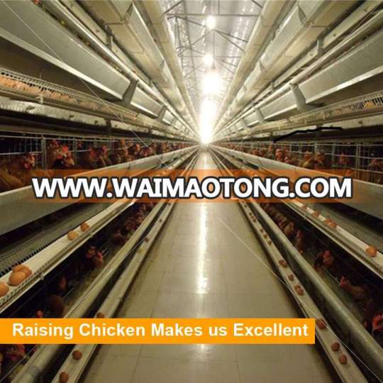 Design High Quality Automatic Poultry Battery Cages for Laying Hens