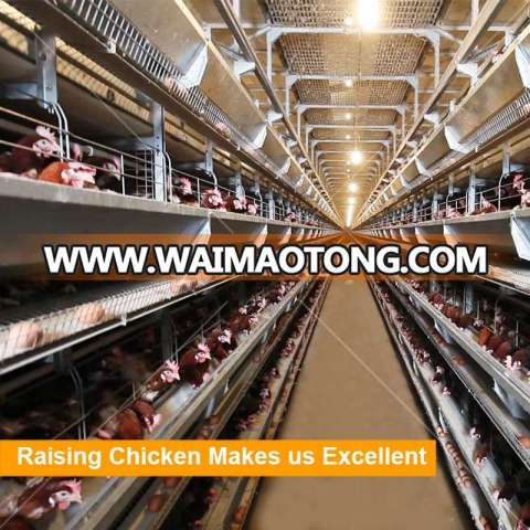 Chicken Farm Hot Sale Layer Poultry Battery Cages