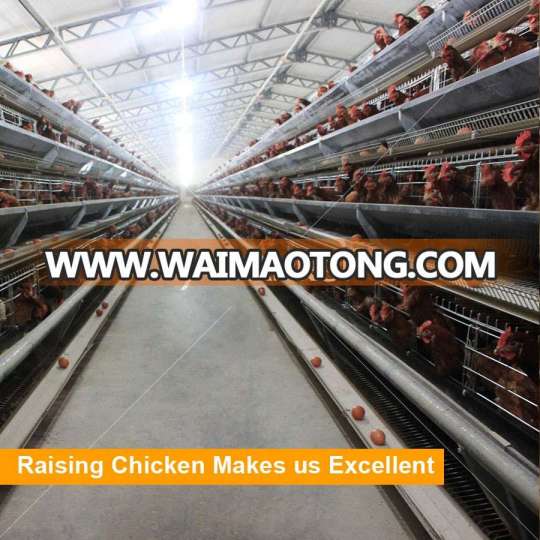 Automatic Layer Poultry Cages for Kenya Farms