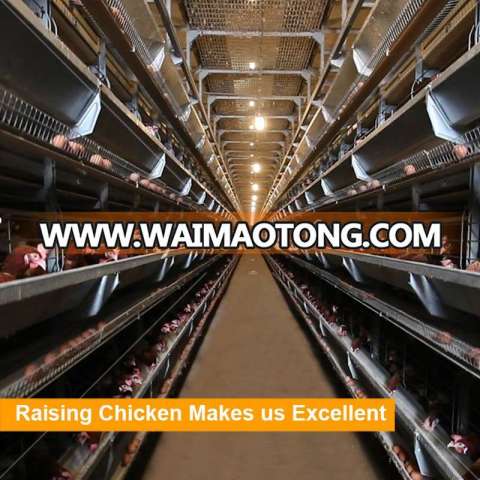 Farm Project Automatic Chicken Poultry Farming Equipment