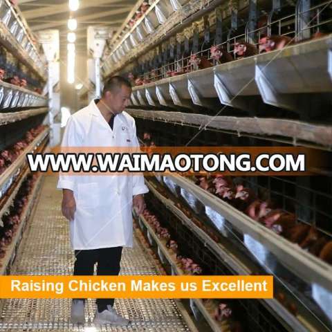 Chicken Farm Used Poultry Equipment for Sale